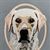 Custom Pet Portrait Throw Pillow Close up
